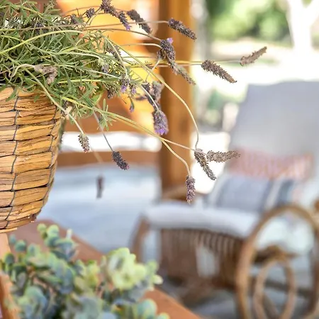 Sardinia Re - Casa Luisa With Pool Apartament